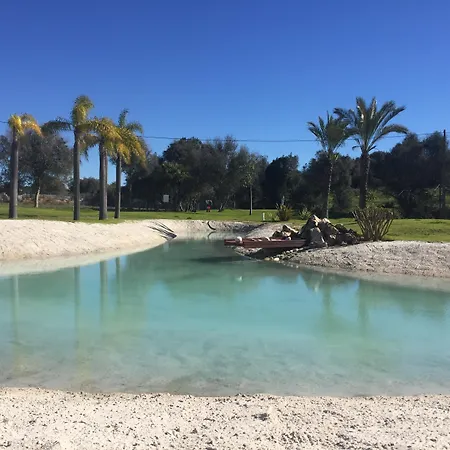 Yellow Garden アルヴォル