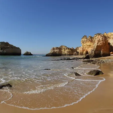 Yellow Garden ホテル