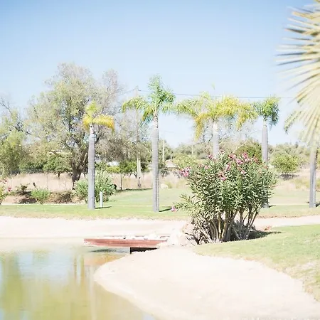 Yellow Garden Alvor