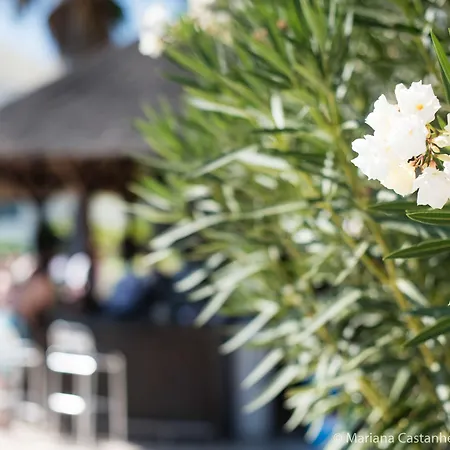 Yellow Garden ホテル アルヴォル