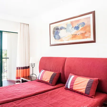 Yellow Garden アルヴォル